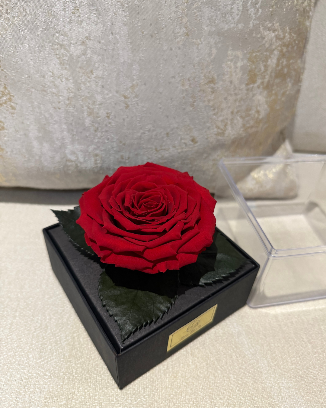 XL Red Preserved Rose
