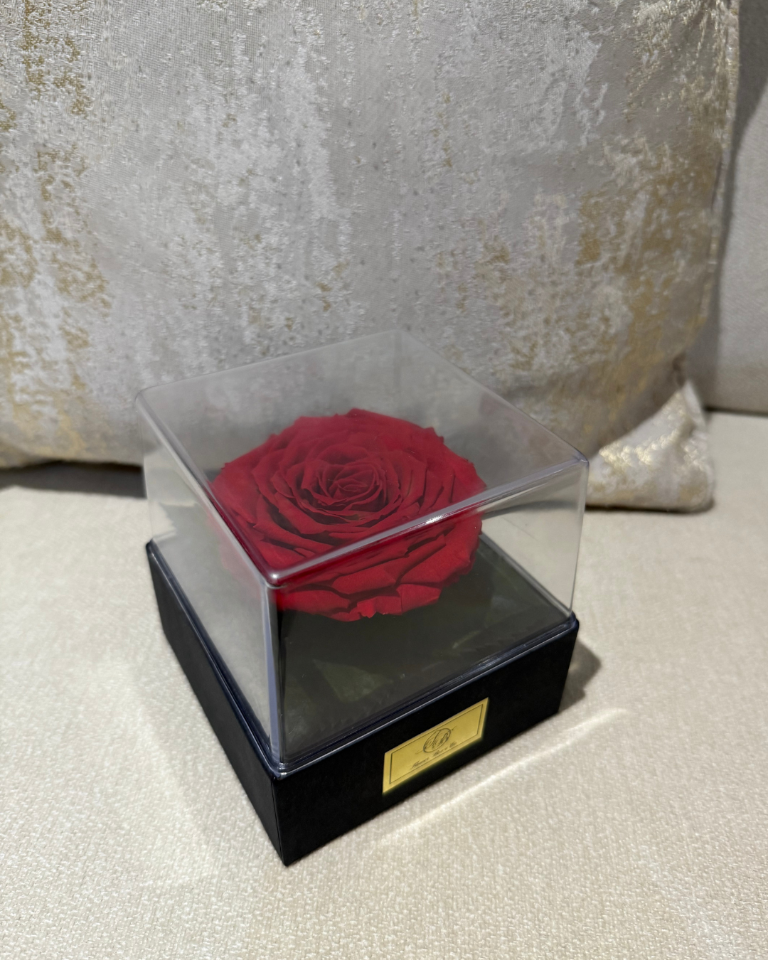 XL Red Preserved Rose
