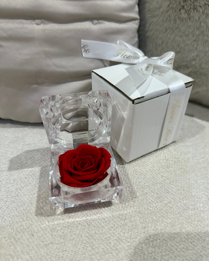 Mini Preserved Red Rose