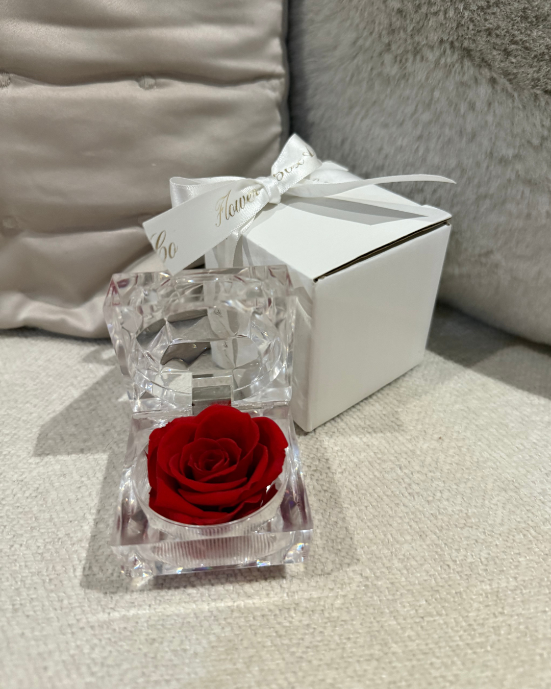 Mini Preserved Red Rose