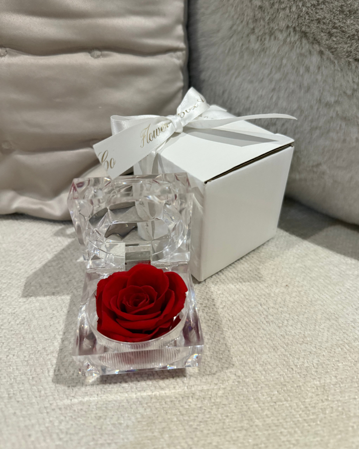 Mini Preserved Red Rose