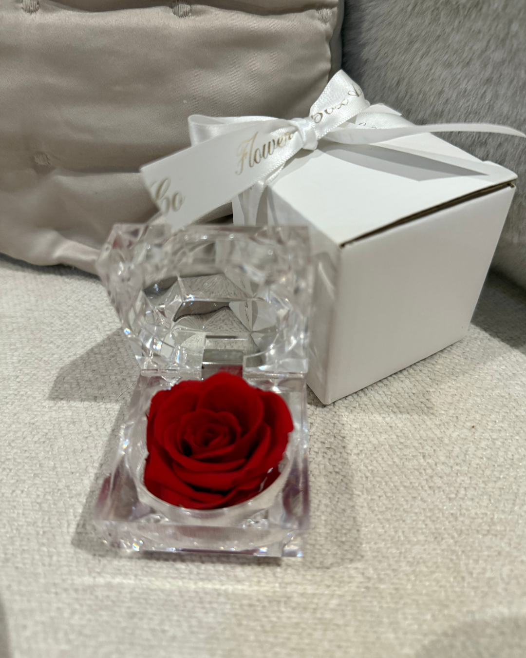 Mini Preserved Red Rose