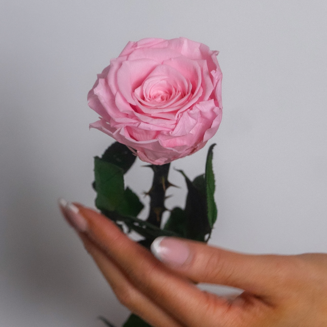 Preserved Eternal Rose – Flower Box&Co.